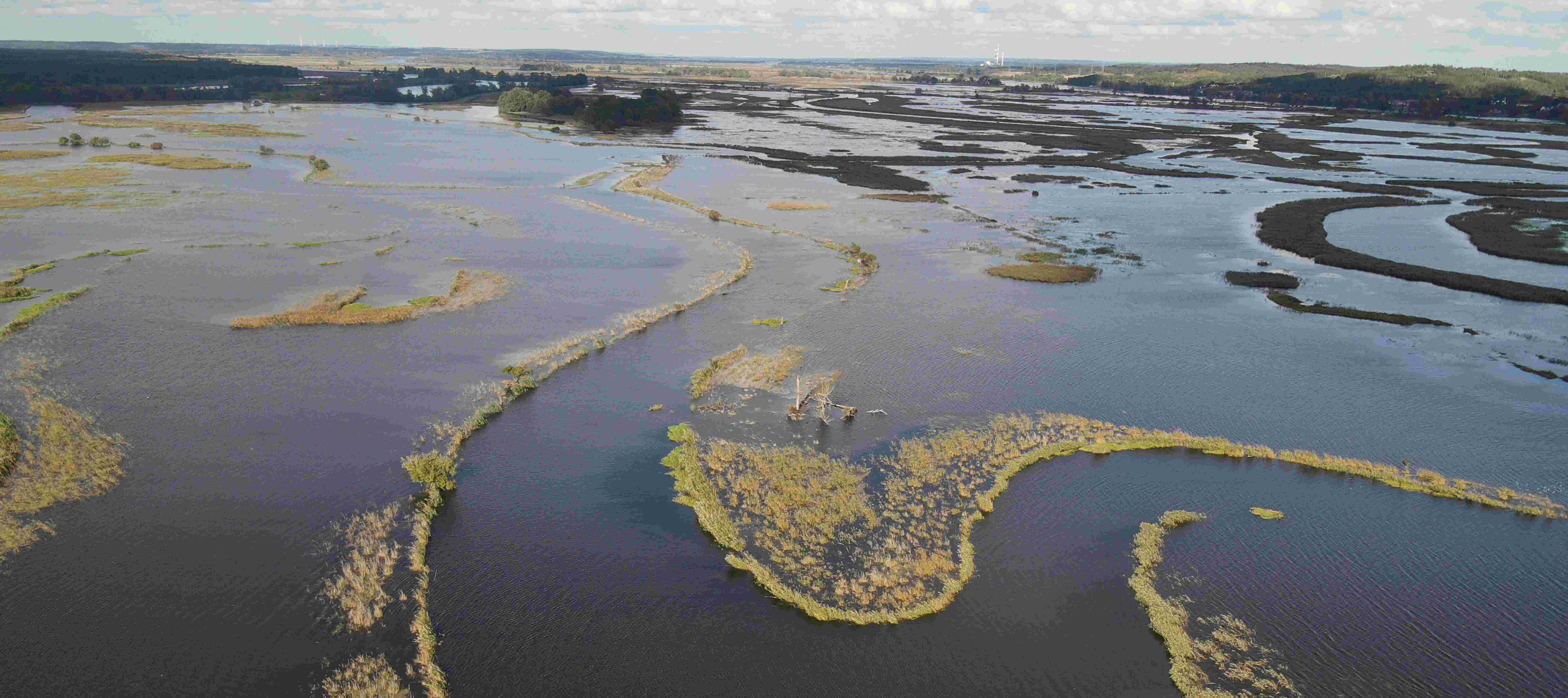 Oderhochwasser - Michael Tautenhahn Nationalparkverwaltung